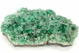 Fluorescent Green Fluorite Cluster - Diana Maria Mine, England #208844-1